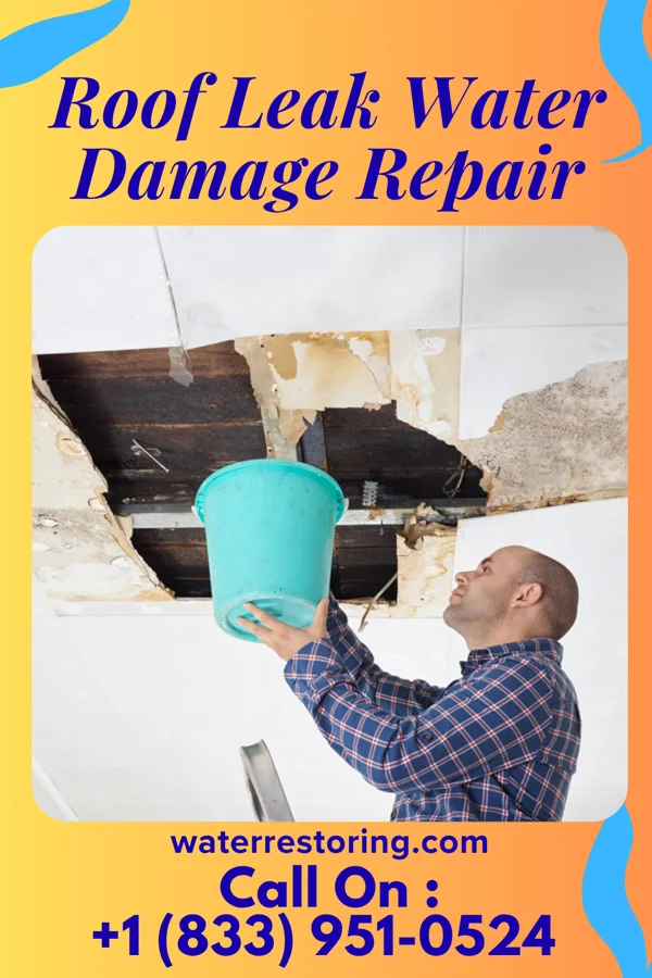 Roof Leak Water Damage Repair in West Clarkston-Highland, WA